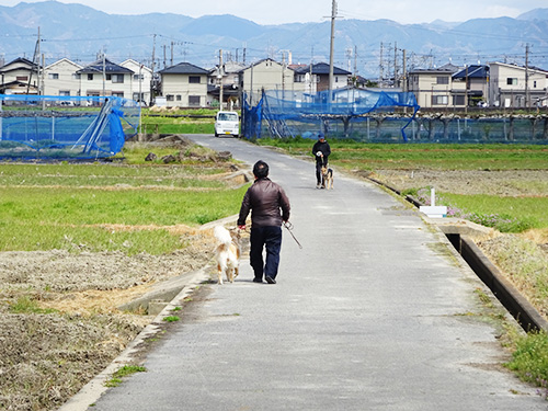 関西ドッグスクール