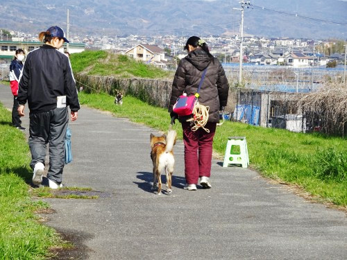 関西ドッグスクール