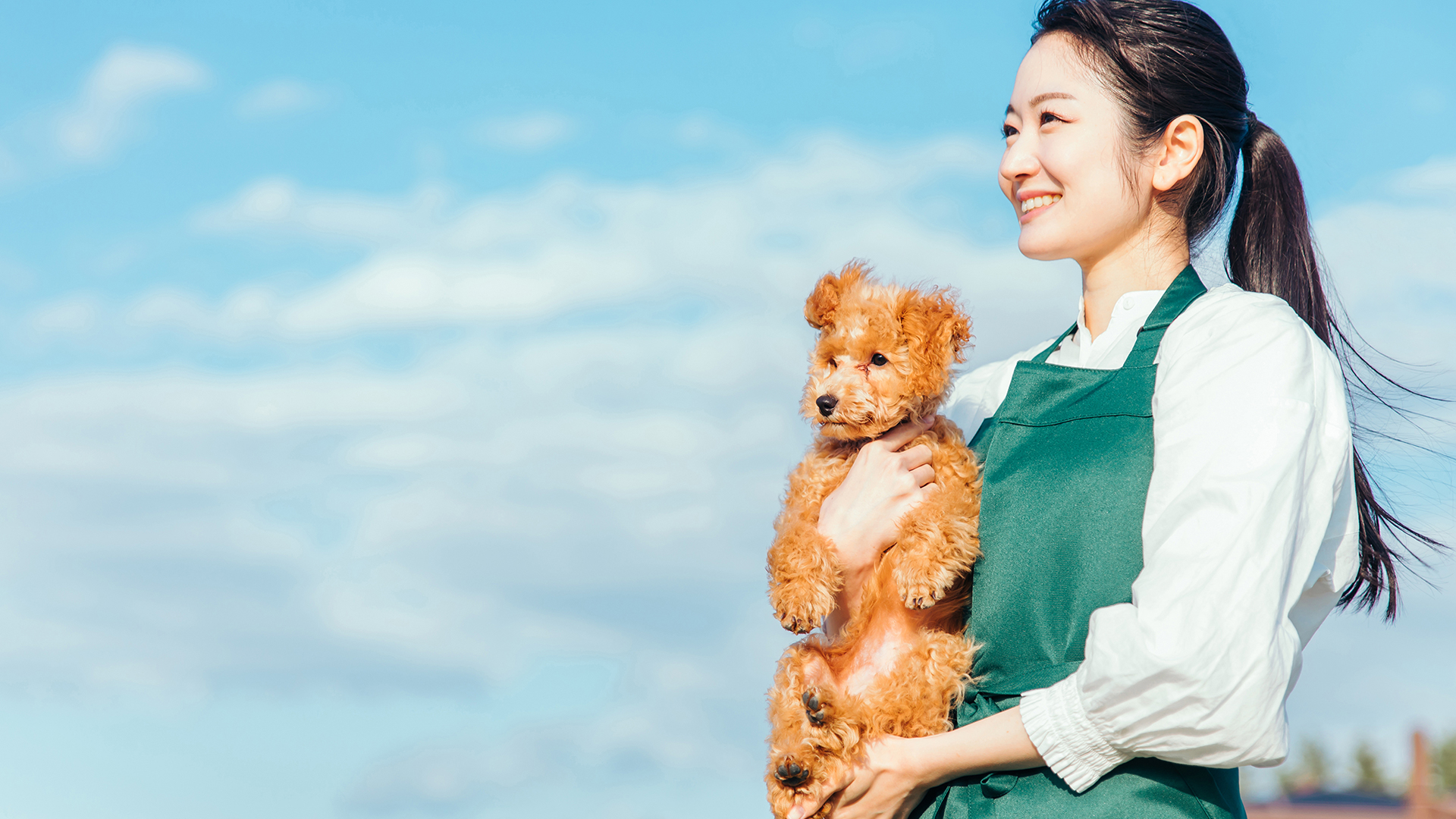 奈良県磯城郡の犬のしつけ・訓練・ホテル・老犬ホーム・ペットシッター「関西ドッグスクール」