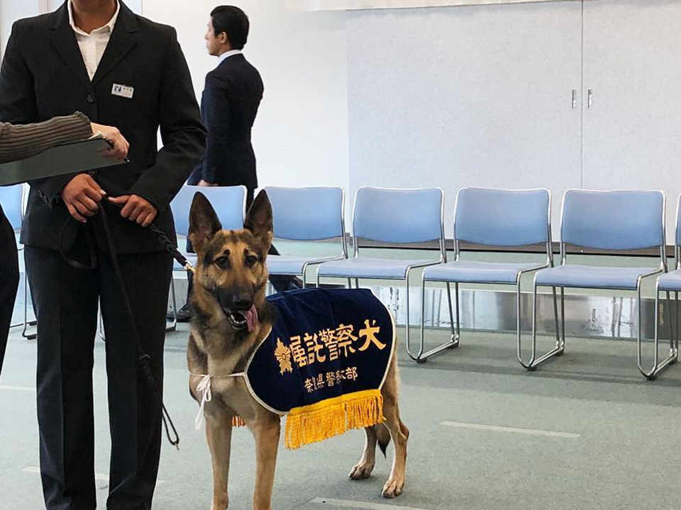 関西ドッグスクール　警察犬訓練