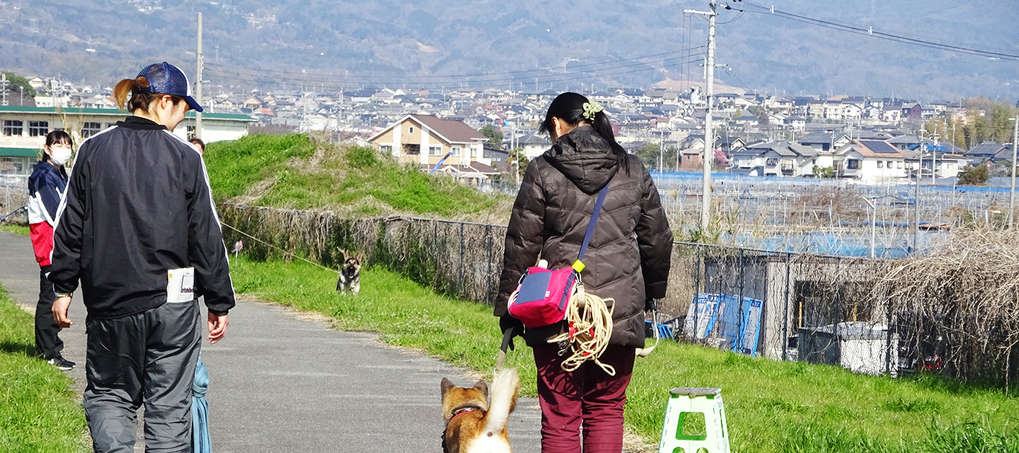 関西ドッグスクール　訓練士募集